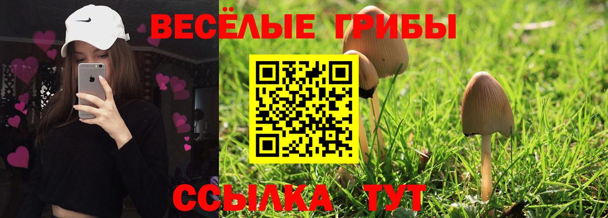 Псилоцибиновые грибы ЛСД  Галлюциногенные грибы Cubensis  Старый Оскол  Вход с VPN 